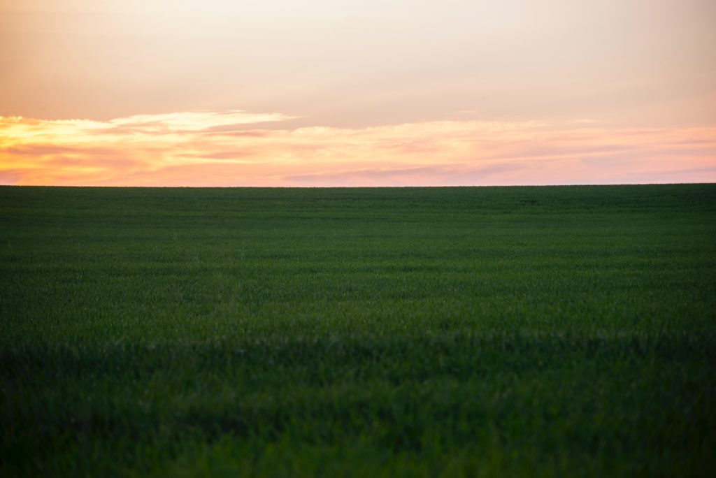How To Account For Vacant Land Pinnacle Accountants Advisors How To Account For Vacant Land Pinnacle Accountants Advisors